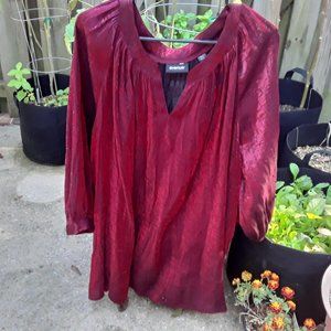 Shimmery Red Blouse